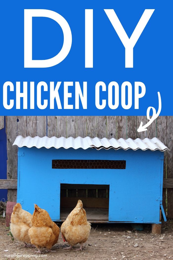 blue homemade chicken coop with 3 chickens in front of it DIY Chicken Coop is in white text across the top