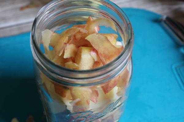 homemade apple scrap apple cider vinegar 